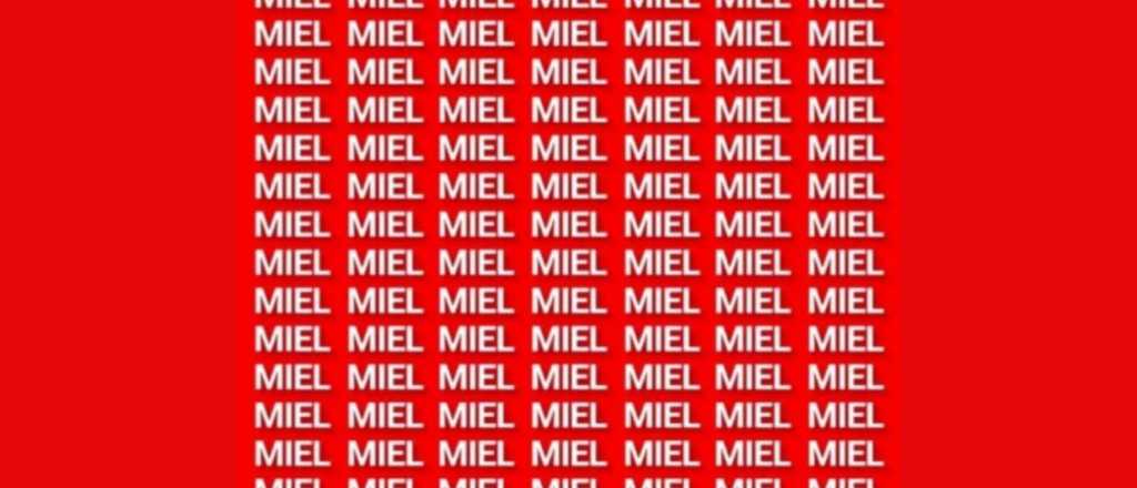 Sopa de letras: encuentra la palabra "hiel" en menos de 5 segundos