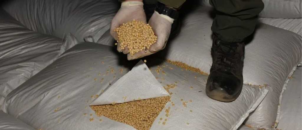 Secuestraron 29 toneladas de soja que venían a Mendoza de contrabando