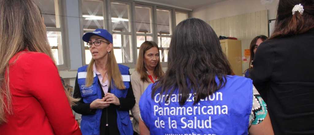 Dengue en Mendoza: la OPS desaconsejó que la vacuna sea obligatoria