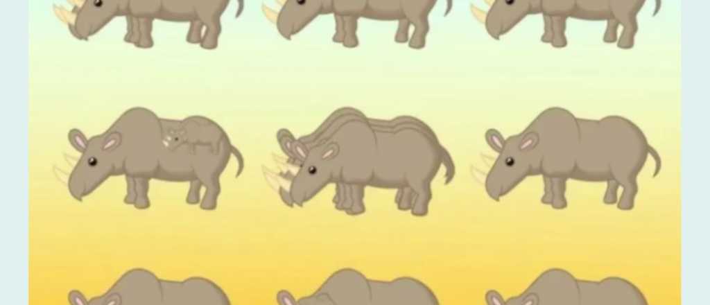 ¡Solo para habilidosos! ¿Cuántos rinocerontes hay en la imagen?