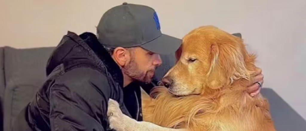 Una aerol&iacute;nea envi&oacute; mal un perro y muri&oacute; en el traslado