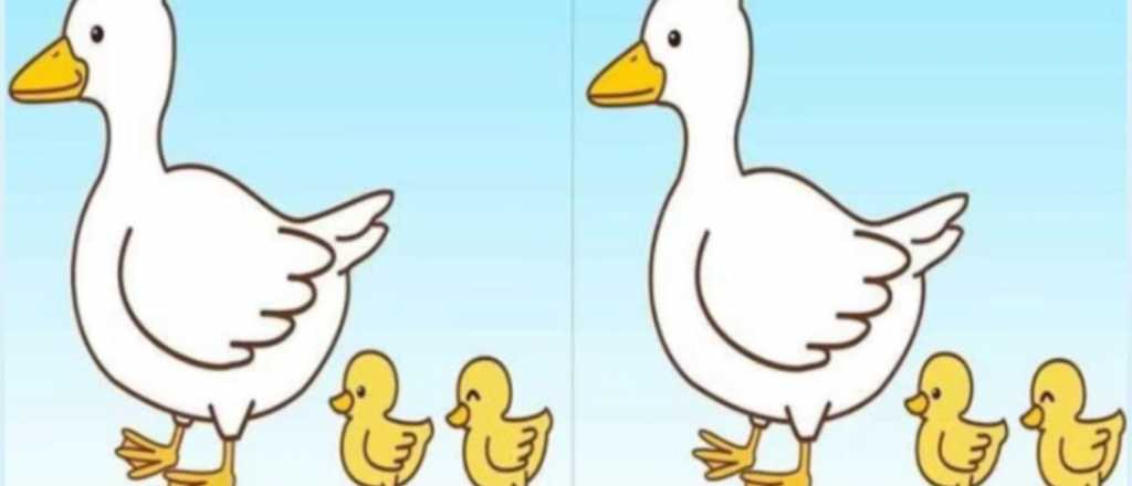 &iexcl;Solo para habilidosos! &iquest;Pod&eacute;s hallar las tres diferencias?