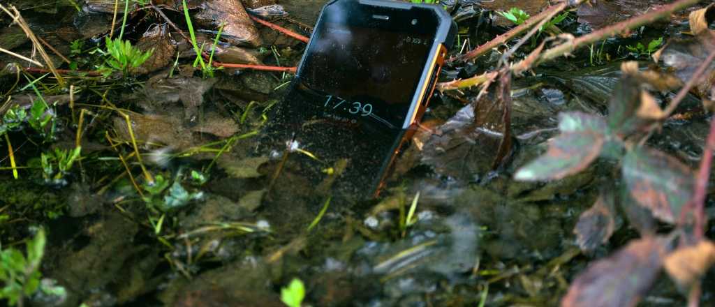 Cómo salvar tu celular si se cayó al agua