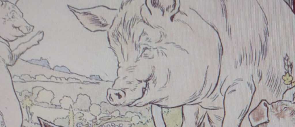 No se necesita quemar un bosque para comer cerditos asados