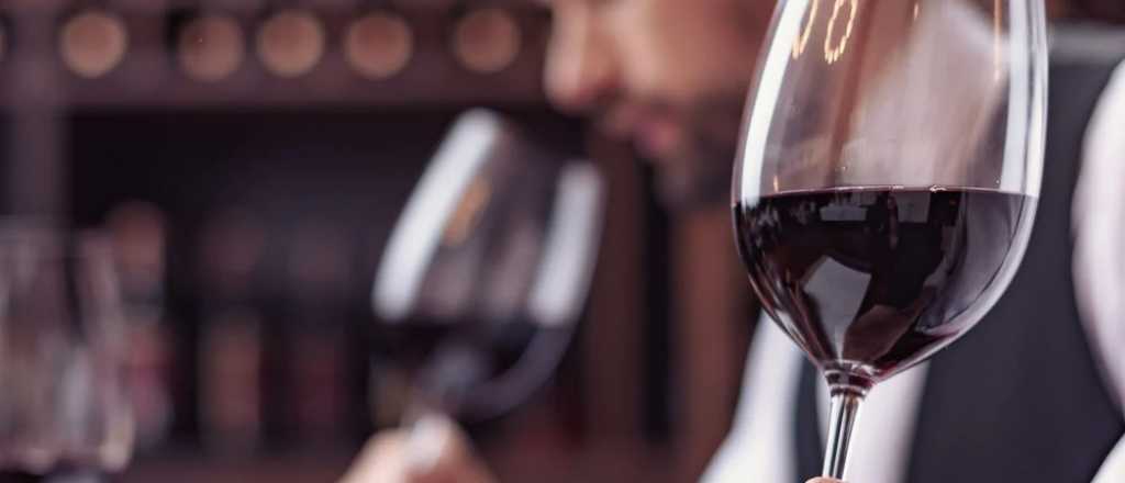 Día Mundial del Malbec: conocé por qué se celebra este 17 de abril