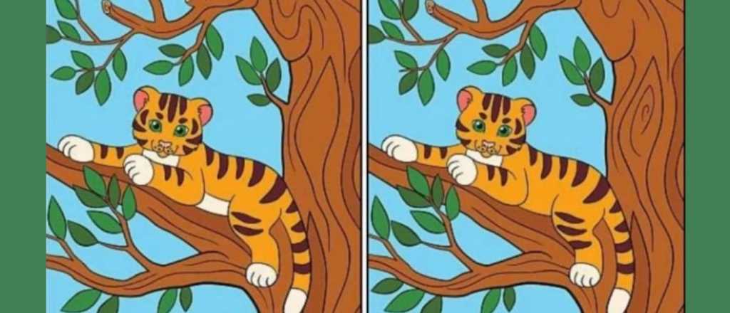 Acertijo visual: &iquest;cu&aacute;les son las diferencias que hay entre las im&aacute;genes? 