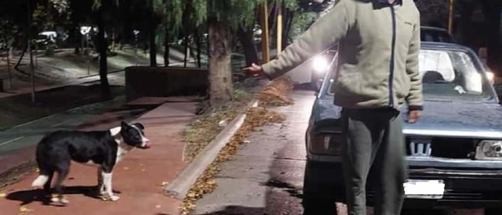 Video: abandon&oacute; a su perro en Luj&aacute;n: "Te lo regalo no quiero esa cagada"