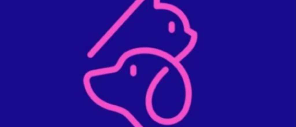 Test de personalidad: &iquest;qu&eacute; animal ves primero?