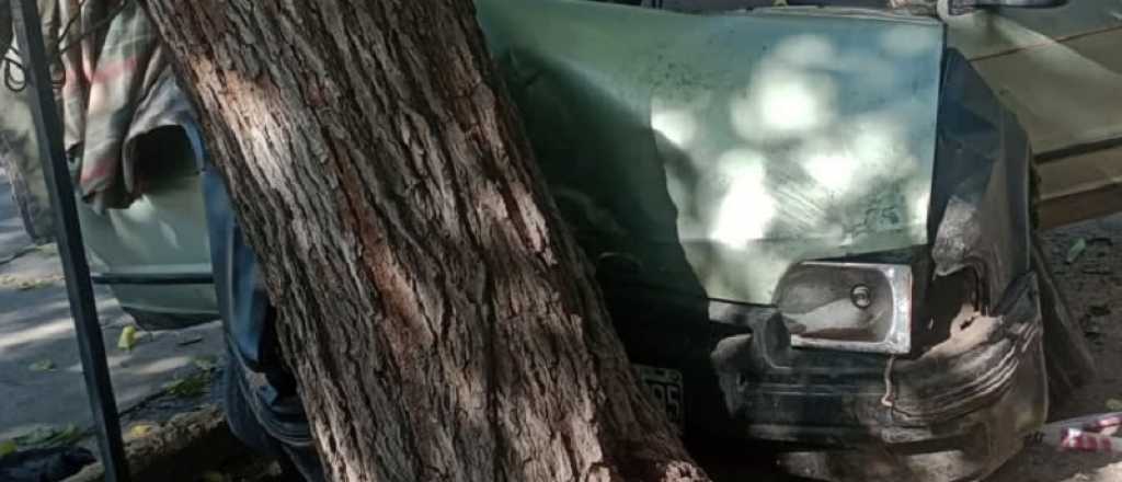Un auto se estrol&oacute; contra un &aacute;rbol en Ciudad y hay tres chicos heridos