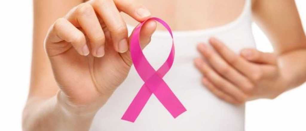 Pyme mendocina fabrica corpi&ntilde;os "low cost" para post mastectom&iacute;a