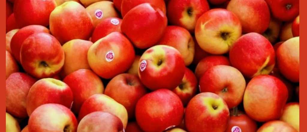 Acertijo visual: &iquest;pod&eacute;s hallar el tomate oculto?