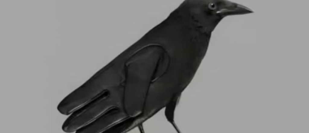 Test de personalidad: &iquest;qu&eacute; ves en la imagen?