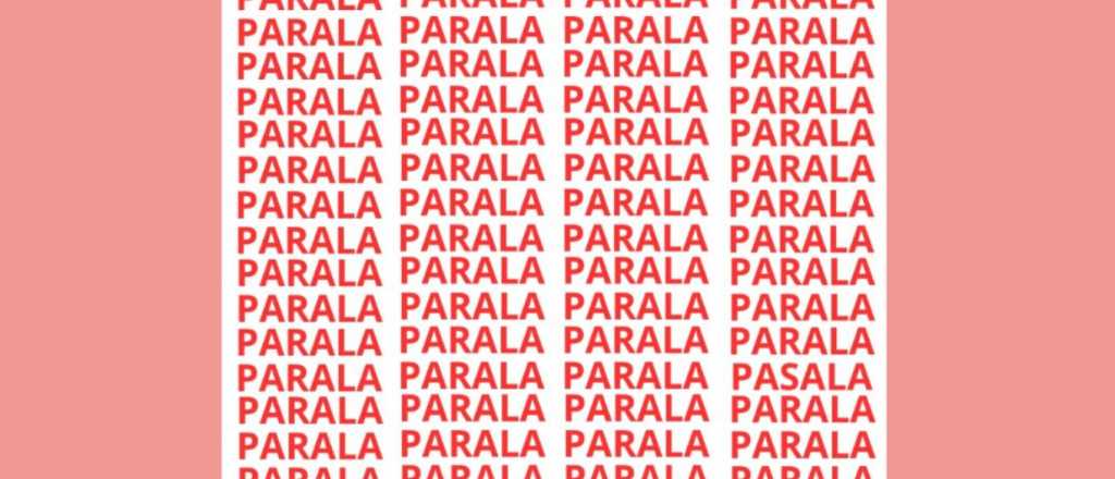 Sopa de letras: &iquest;pod&eacute;s encontrar la palabra "pasala"?