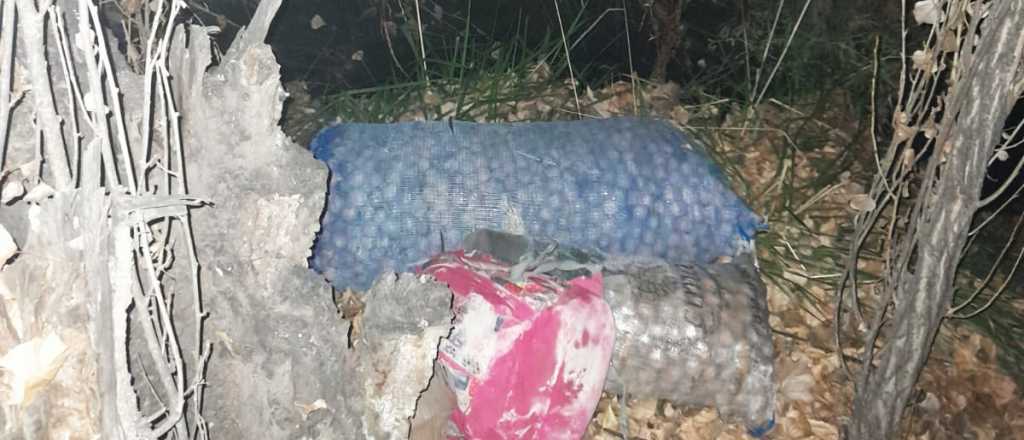 Robaron 50 kilos de nueces y fueron detenidos en Tupungato