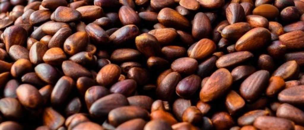 Acertijo visual: &iquest;pod&eacute;s encontrar la guinda de rugby oculta en 5 segundos?