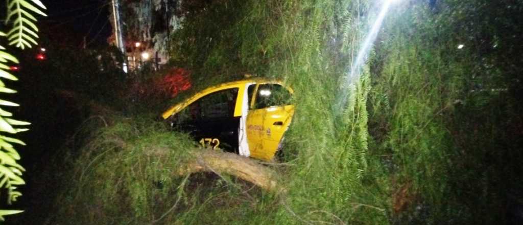 Cay&oacute; un &aacute;rbol sobre un taxi en la Terminal: hab&iacute;a una mujer embarazada a bordo