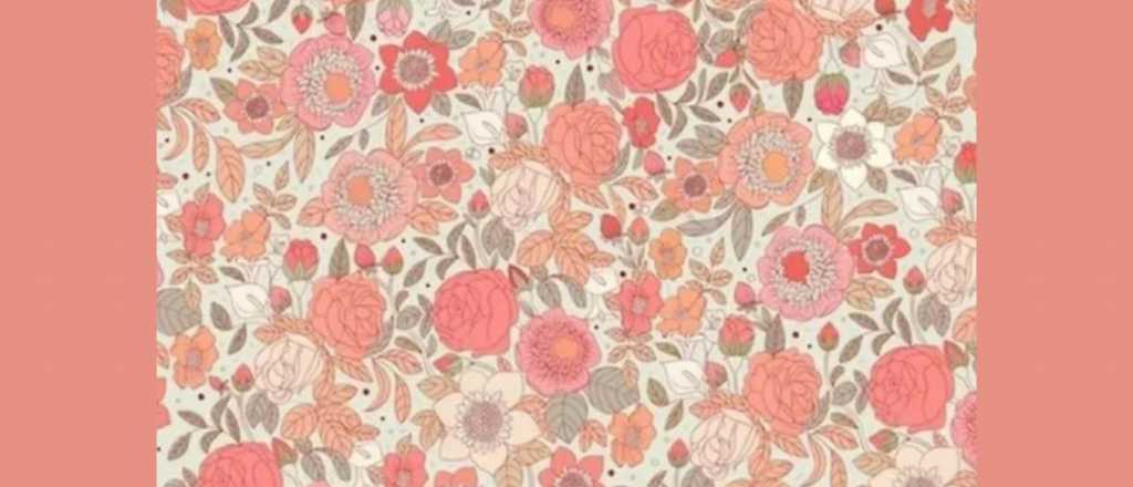 Reto visual: &iquest;d&oacute;nde est&aacute; la frutilla escondida?