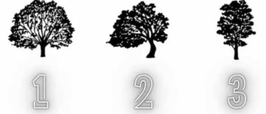 Test de personalidad: ¿Qué árbol elegís?