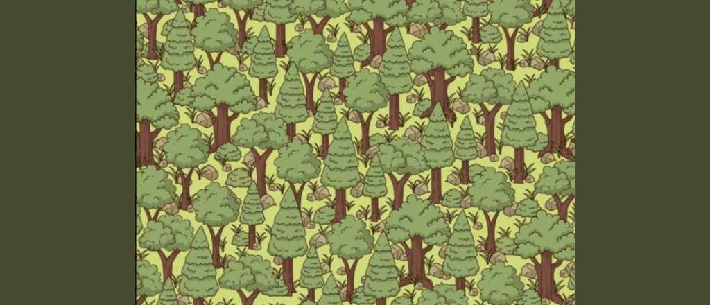 Acertijo visual: ¿dónde se oculta el erizo en la imagen?