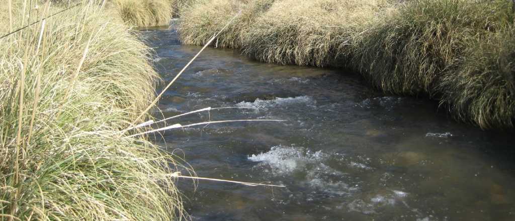Encontraron el cuerpo de una mujer en un cauce del Valle de Uco