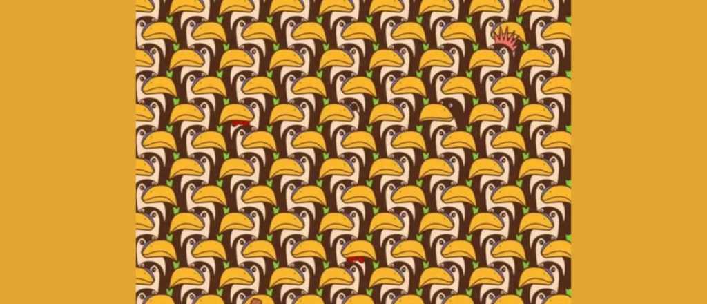 Acertijo visual: &iquest;pod&eacute;s encontrar al ping&uuml;ino oculto?