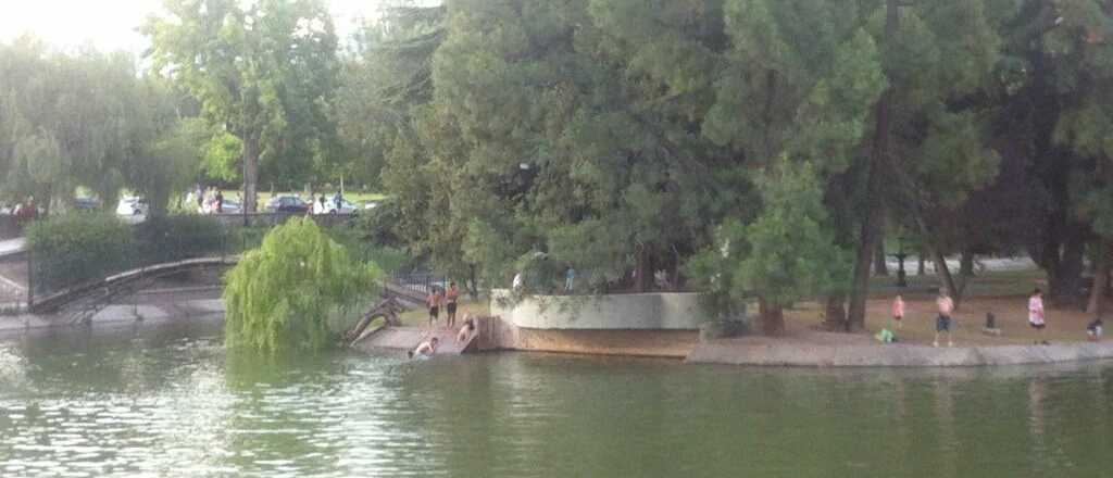 Video: filmaron a una familia ba&ntilde;&aacute;ndose en el lago del Parque