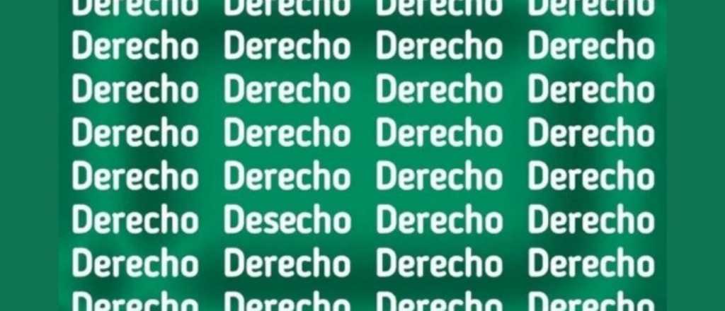 Sopa de letras: ¿dónde se oculta la palabra desecho?