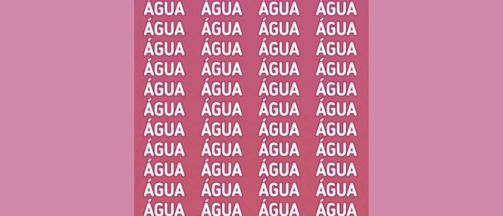 Sopa de letras: &iquest;pod&eacute;s encontrar la palabra distinta en 5 segundos?