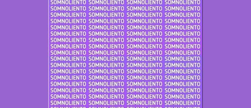 Sopa de letras: ¿podés encontrar la palabra "soñoliento" en 5 segundos?