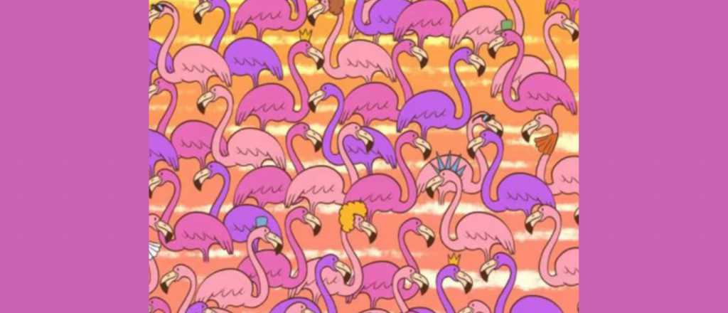 Prueba mental: &iquest;pod&eacute;s encontrar el coraz&oacute;n entre los flamencos?