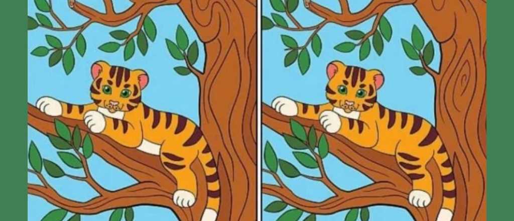 Pocas personas logran resolverlo: ¿cuántas diferencias hay?