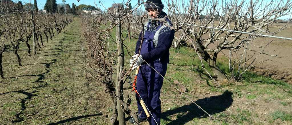 Desaz&oacute;n de un finquero del Este: le robaron el alambre de 120 hileras