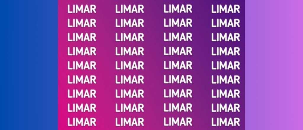 Sopa de letras: &iquest;d&oacute;nde se oculta la palabra "lisar"?