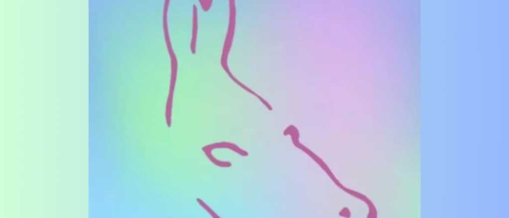 &iquest;Cu&aacute;les son tus cualidades innatas? Conocelas con este test