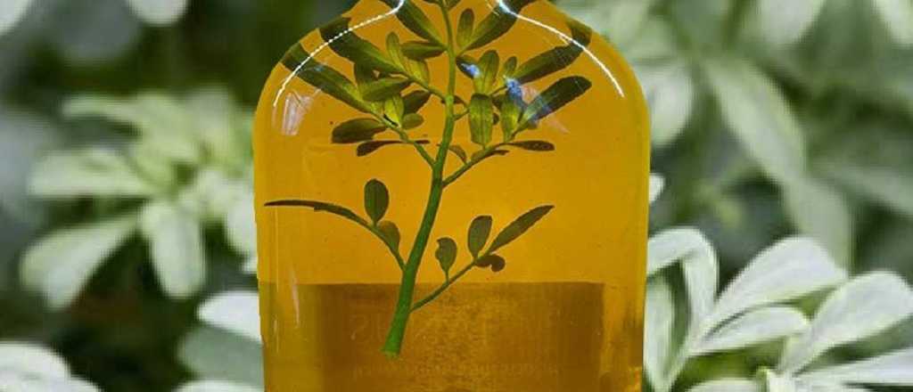 Cómo se prepara la caña con ruda para el Día de la Pachamama