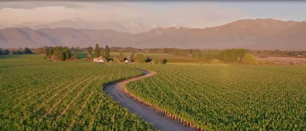 Video: Mendoza lleg&oacute; al Fortnite para promover el turismo