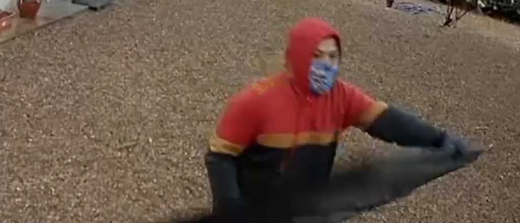 Video: entr&oacute;, desvalij&oacute; una casa y se llev&oacute; todo en la camioneta de una familia