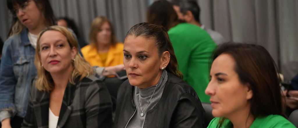 Video: as&iacute; robaron en la casa de una diputada nacional por Mendoza