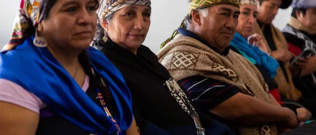 El ins&oacute;lito acuerdo kirchnerista con mapuches para darles impunidad