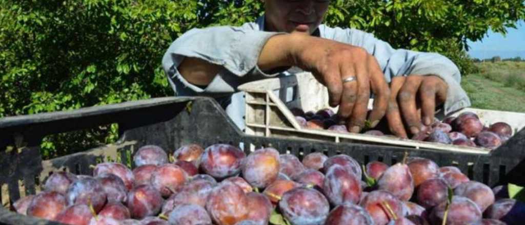 Por pedido de Mendoza autorizaron nuevos aditivos para frutas desecadas