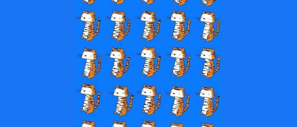 &iquest;Cu&aacute;l es la diferencia? Descubre al tigre diferente en menos de 6 segundos