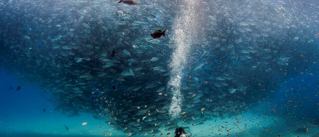 13 cosas que las personas mentalmente fuertes no hacen