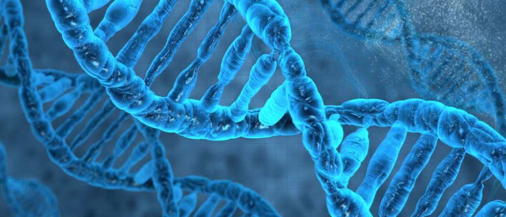 Los mejores descubrimientos cient&iacute;ficos de 2015