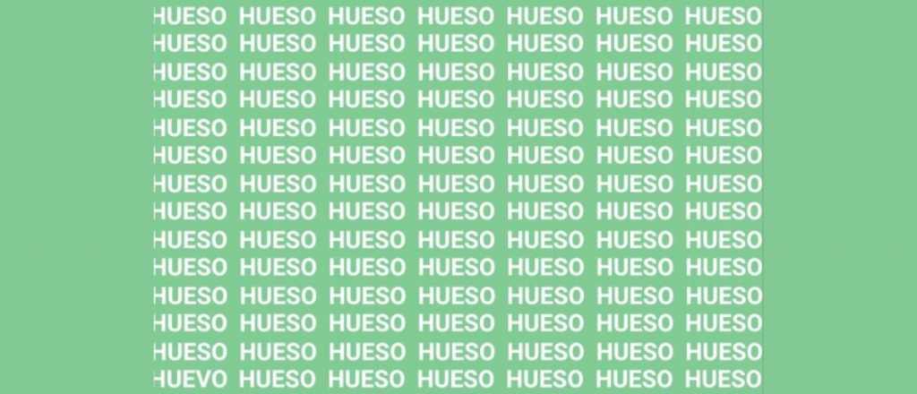 Sopa de letras: ¿podés encontrar la palabra "huevo"?