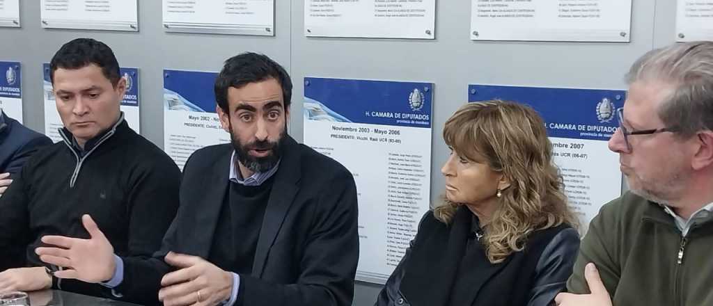 Fayad explic&oacute; en Legislatura el proyecto para transferir acciones de IMPSA