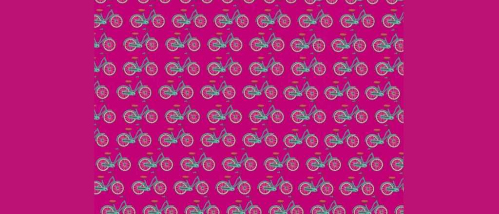 Acertijo visual: &iquest;cu&aacute;l es la bicicleta que est&aacute; al rev&eacute;s?