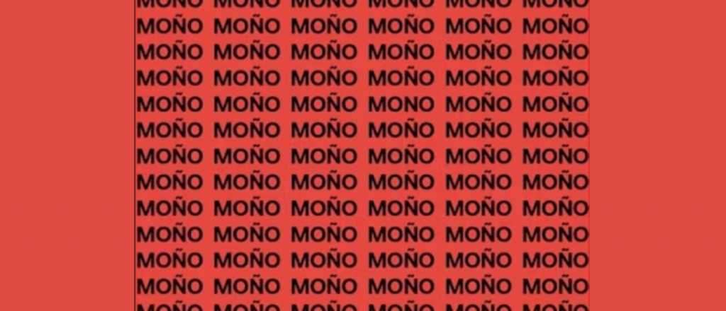 ¡Solo para habilidosos! ¿Dónde se oculta la palabra "mono"?