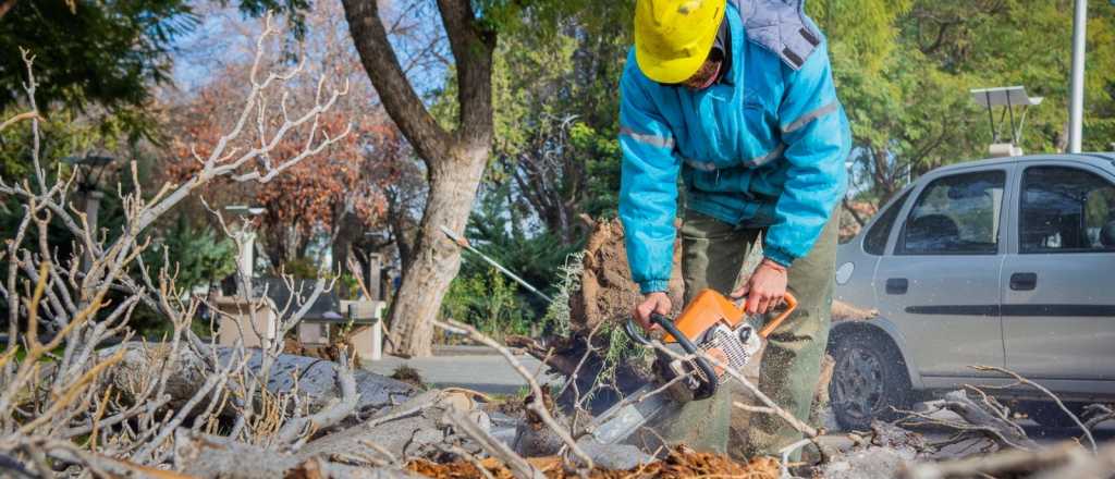 San Mart&iacute;n termin&oacute; con el operativo de poda intensiva