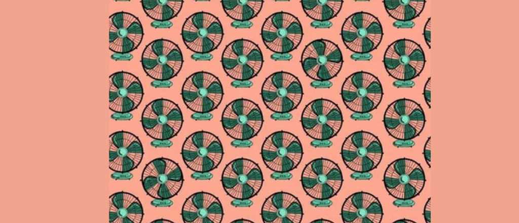 Prueba viral: encontr&aacute; los ventiladores diferentes al resto en la foto