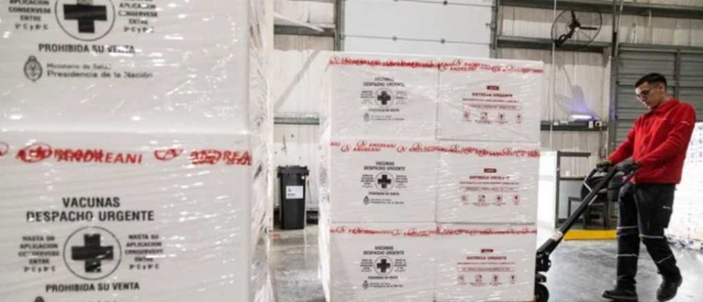 Llegaron las vacunas gratuitas contra el dengue: cómo y dónde conseguirlas